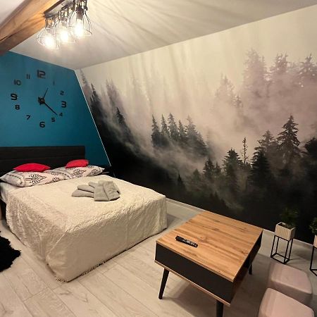 Pokoje Goscinne U Babci Zakopane Dış mekan fotoğraf